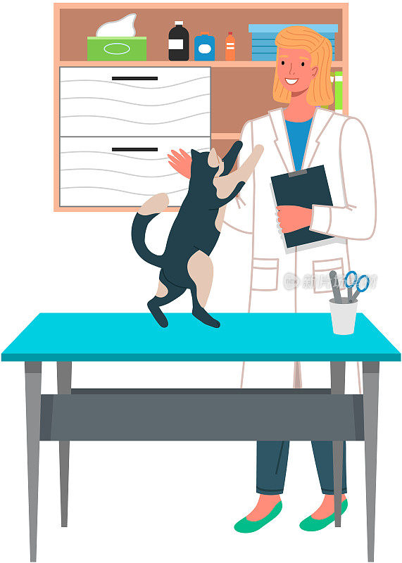 女兽医正在给猫检查诊断。女医生在诊所检查生病的小猫