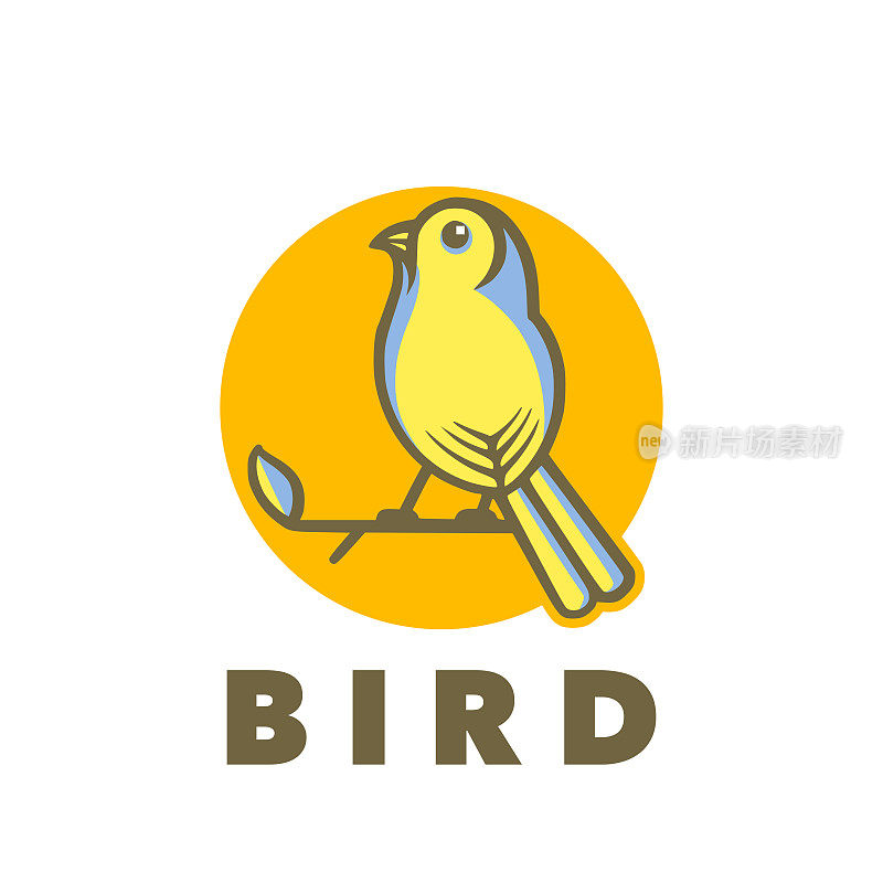 鸟设计