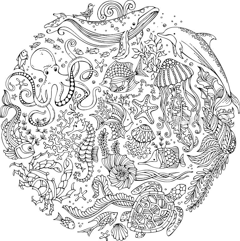 圆圈向量集涂鸦野生海洋生物。