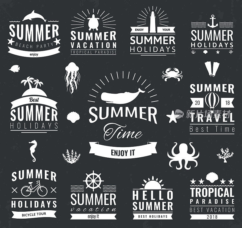 夏季标签，符号，标签和元素设置为夏季假期，旅游，海滩派对，假期。向量