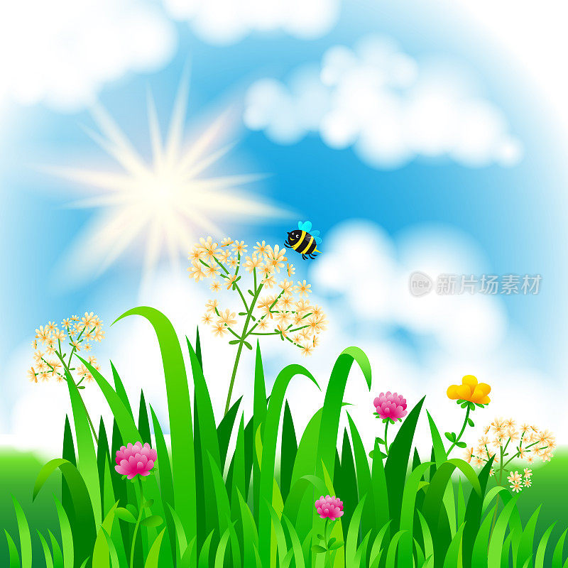 天空、云彩、草木、鲜花、蜜蜂等亮丽的自然景观。农村景观。场和草地。矢量插图。