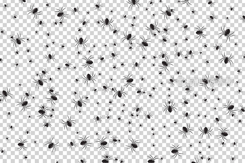 矢量现实孤立的蜘蛛纸屑在透明的背景装饰和覆盖。万圣节的恐怖背景。