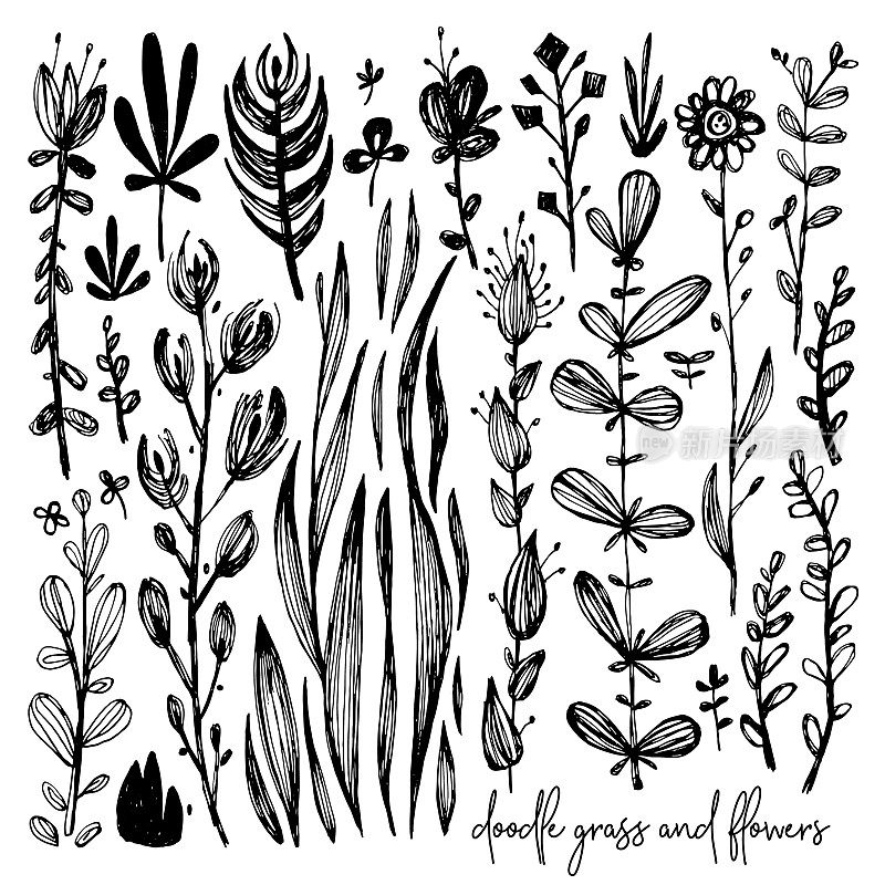 一套黑白涂鸦元素，草地，玫瑰，草，灌木，树叶，花朵。矢量插图，很棒的设计元素祝贺卡，横幅和其他