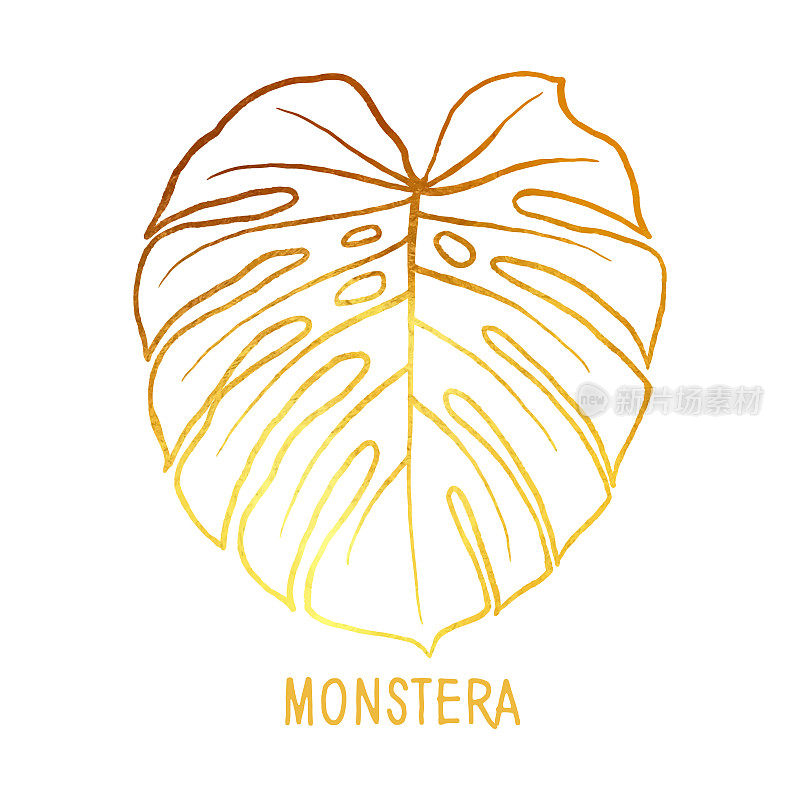 手绘金箔Monstera叶孤立。热带花卉夏季背景。党传单模板。设计元素的销售横幅，海报，标签和邀请卡。