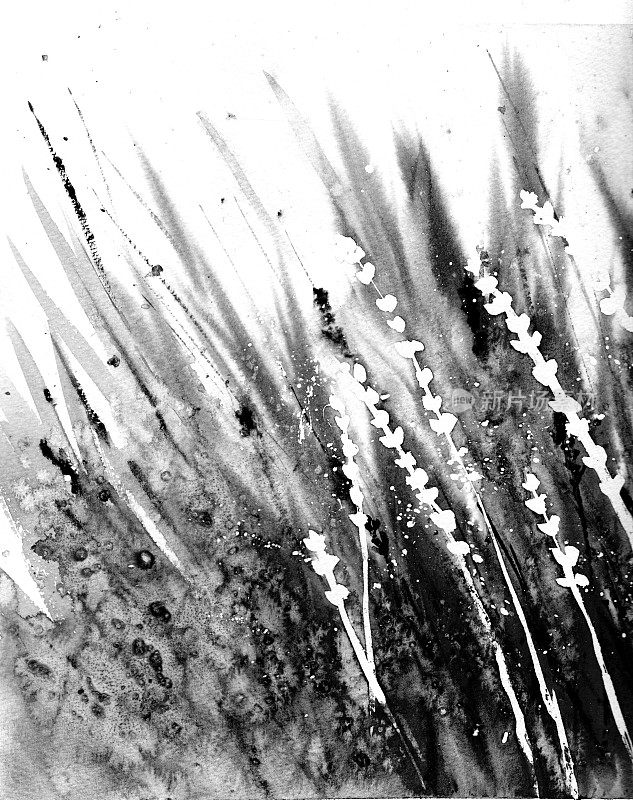 风中摘草。灰色，黑色和白色。单色背景。