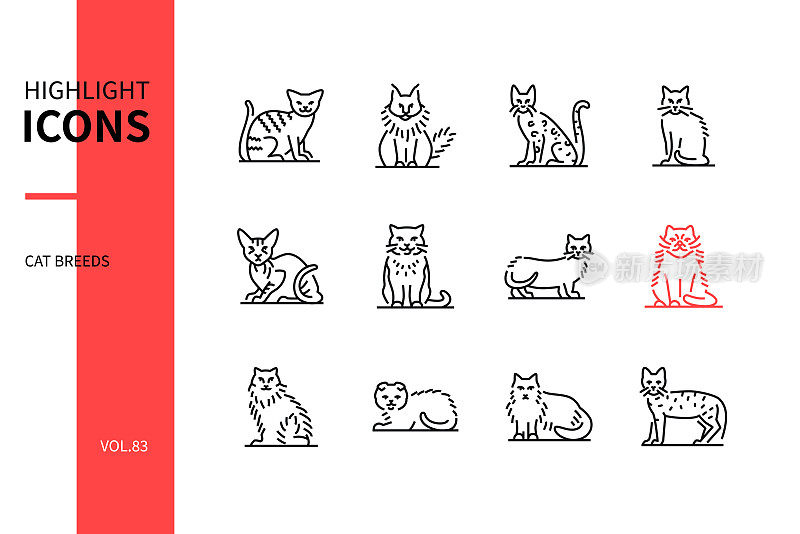 猫品种-现代线条设计风格图标集
