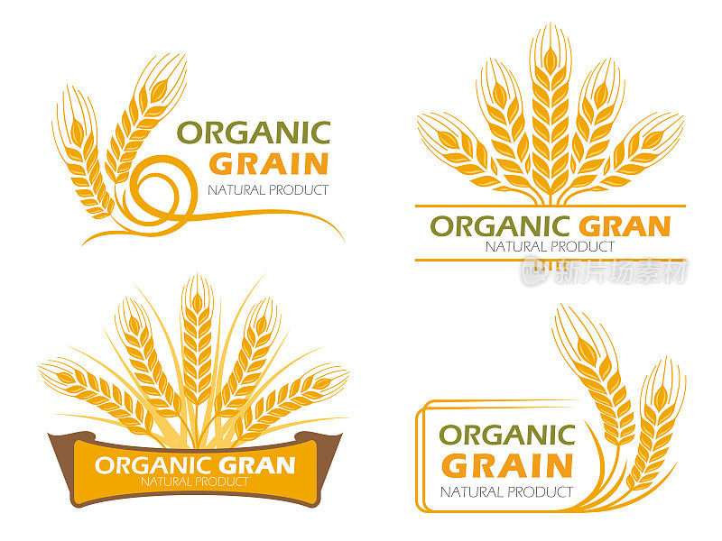 黄稻谷、大麦、水稻等有机粮食产品和健康食品旗帜标识向量集设计