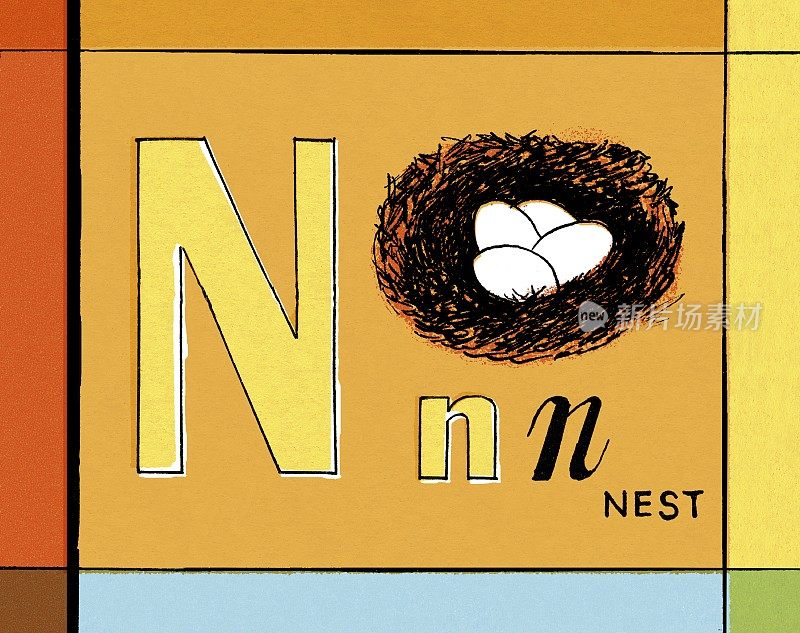 N代表Nest