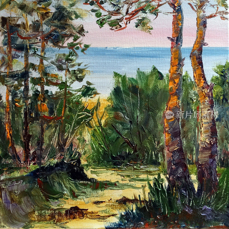 海边的松树，海边的风景，油画。