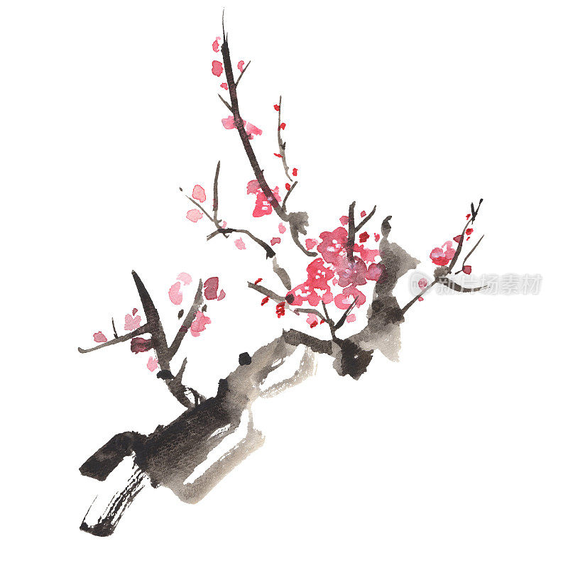 水墨画的红梅树插图