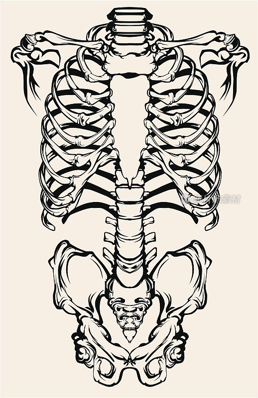 剪辑人类骨骼的艺术图像