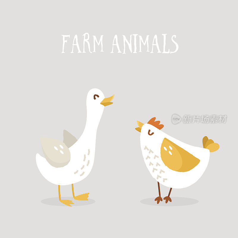 可爱的卡通鸡和鹅在灰色的背景。农场动物。平面设计。向量。