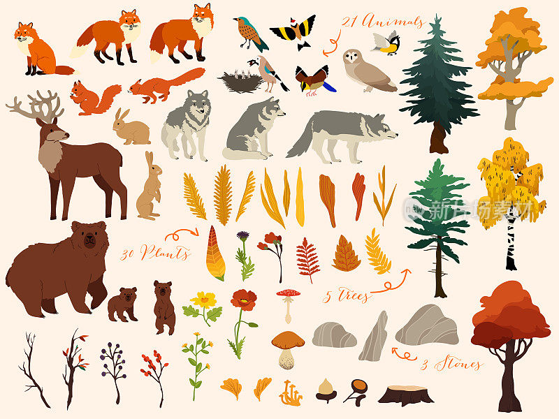 一套可爱的秋季森林元素-动物，树木等。矢量装饰可爱的插图设计