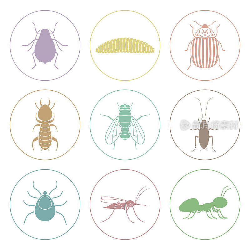 一套彩色的昆虫图标。害虫的象征。向量