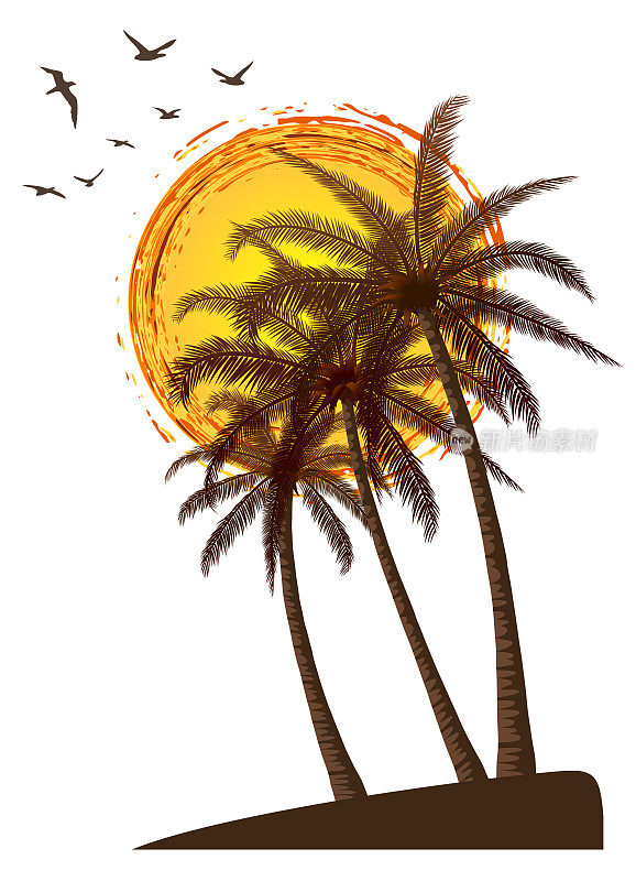 夏日热带落日与棕榈树。复古Grunge背景。