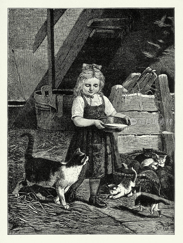 复古，年轻女孩喂她的猫和小猫，美国维多利亚版画，1882年