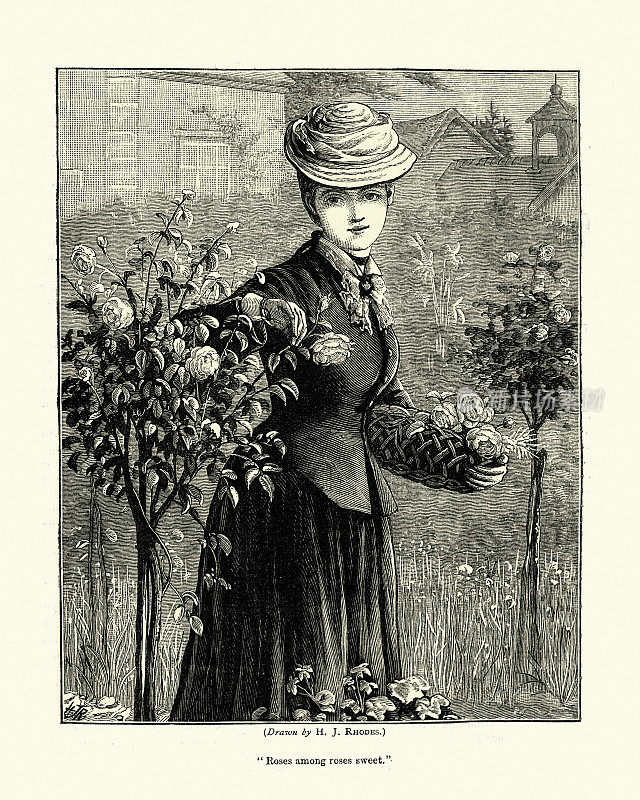 年轻女子在花园里采摘玫瑰，维多利亚时代，19世纪