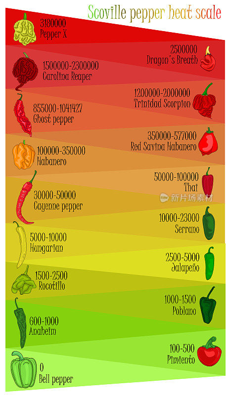 史高维尔辣椒辣度量表。胡椒插图从最甜到非常辣的颜色背景。
