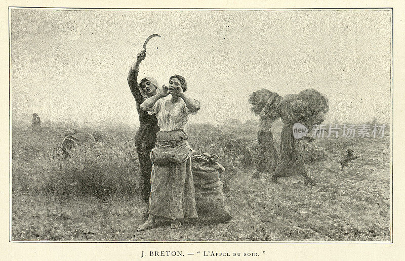 19世纪的维多利亚时代，农业工人在田野里收割庄稼