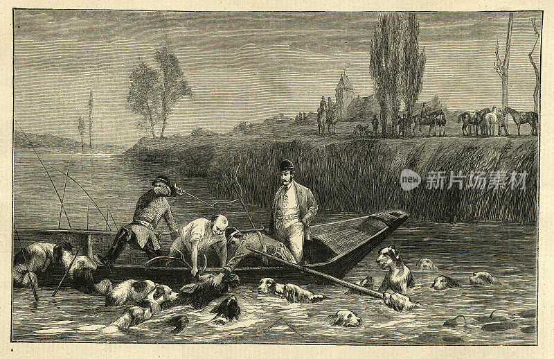 猎鹿，猎狗把鹿赶到河里，19世纪70年代。