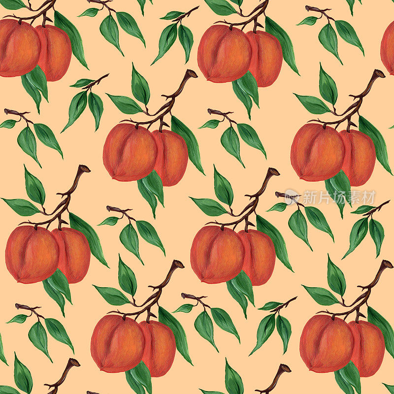 成熟的桃子，油桃，杏子的树枝上有绿色的叶子浅米色，奶油色的背景。无缝模式。水彩手绘插图。用于织物、包装上印刷。