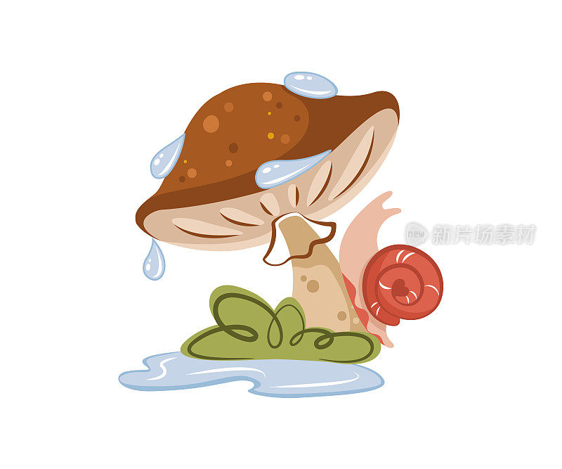 蜗牛躲在牛肝菌蘑菇帽下躲避雨水