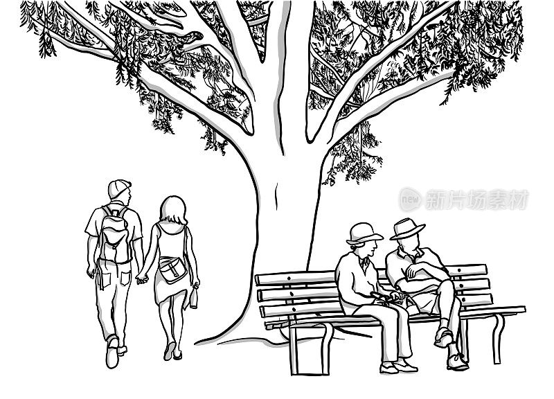 夏天的树和情侣素描