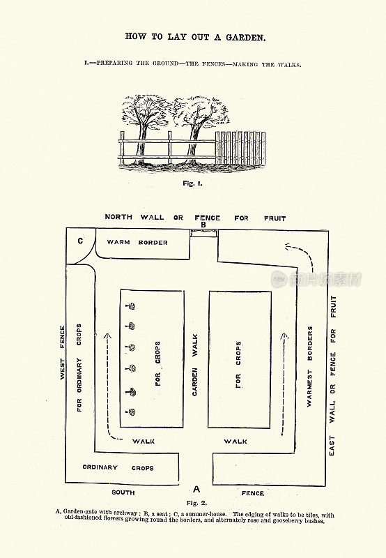 篱笆，计划，如何布置花园，园艺史，19世纪维多利亚时代，男孩自己的论文