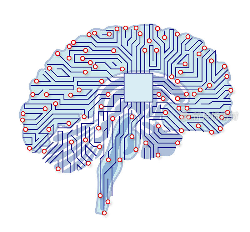用电路板作为脑解剖隔离在白色上的人脑部分示意图