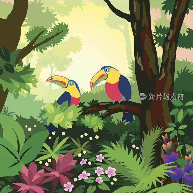 森林里两只巨嘴鸟的彩色插图