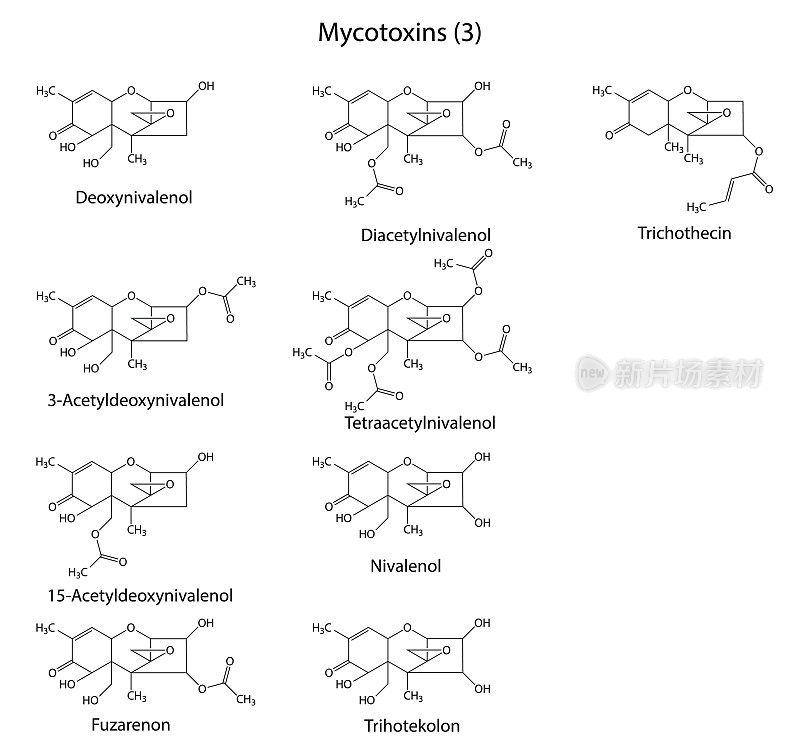 b型霉菌毒素的结构化学公式