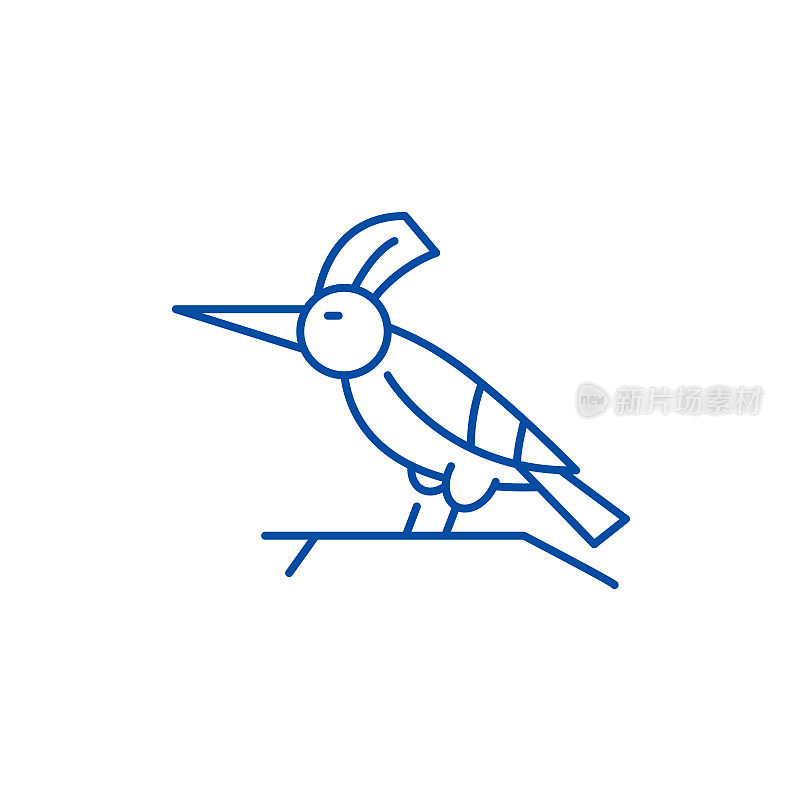 啄木鸟线图标概念。啄木鸟平面矢量符号、符号、轮廓插图。