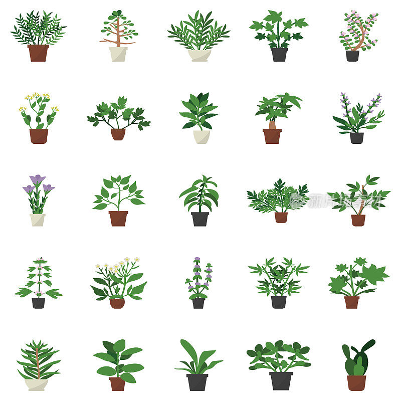 室内装饰植物平面图标