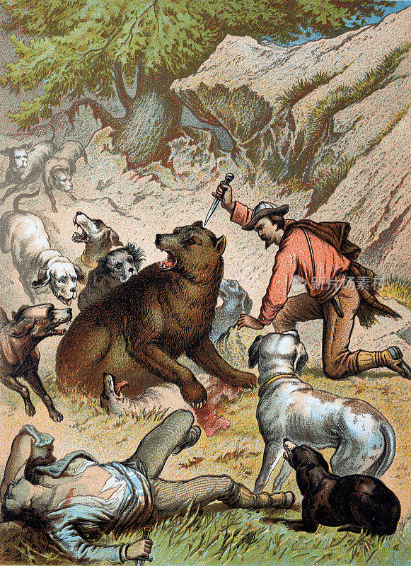 人与狗与熊搏斗