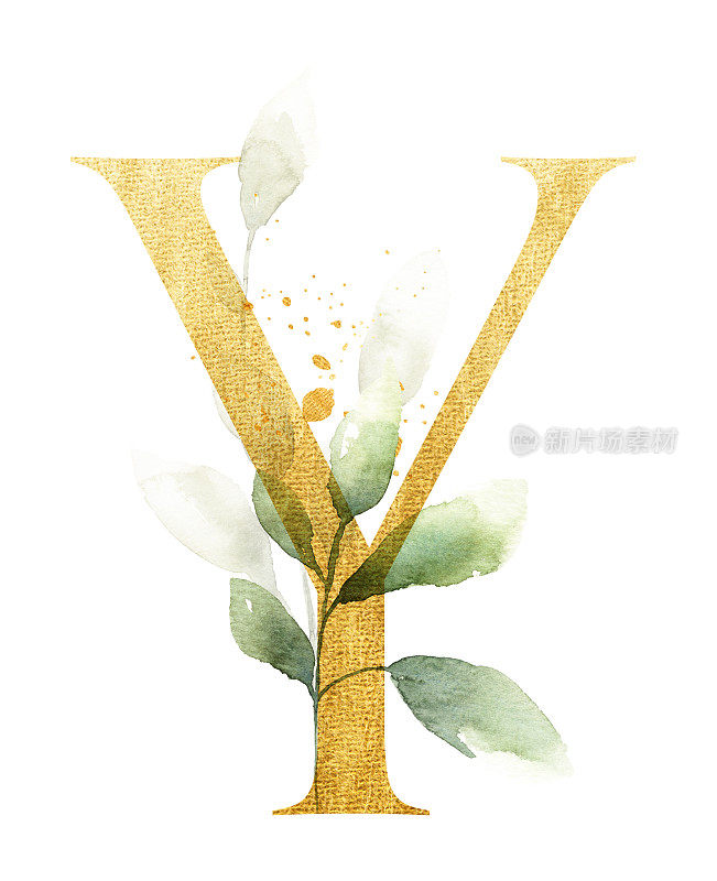金字Y装饰水彩树叶