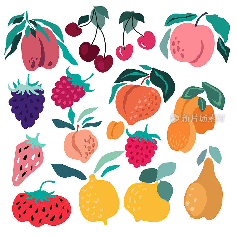 为夏季设计的现代创意水果集。柠檬，梨，桃子，杏子，李子，樱桃，覆盆子