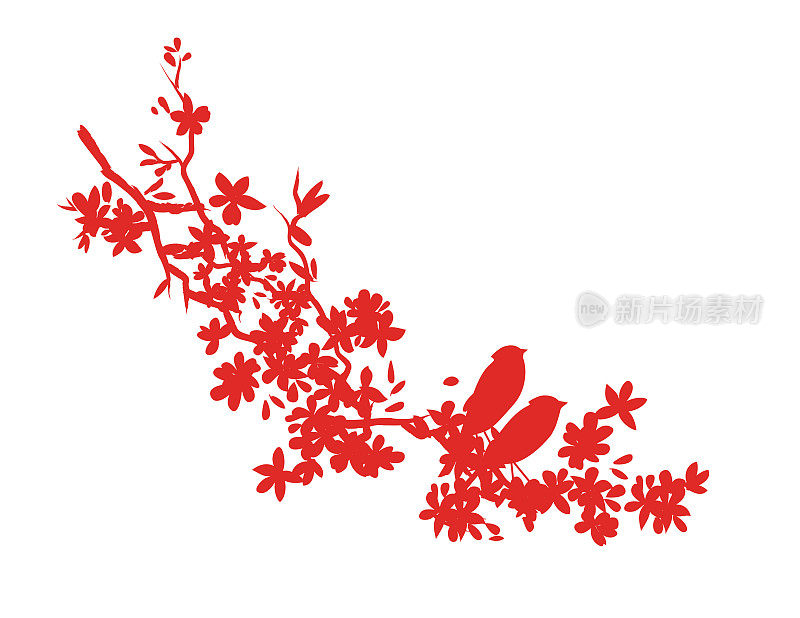 可爱的小鸟坐在樱花枝上