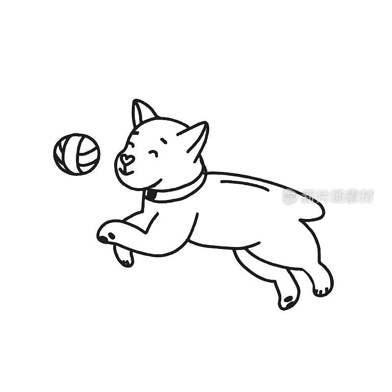 手画狗玩球。为狗狗设计主题:训练、关怀、梳理狗狗。涂鸦风格矢量插图。