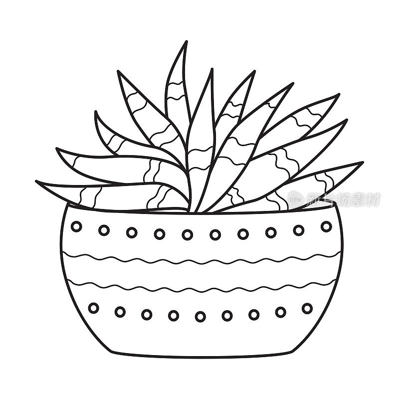 盆栽中矢量轮廓芦荟。室内肉质植物，叶肉质。用于家庭和室内的室内植物。植物学涂鸦线性黑白插图孤立在白色背景。