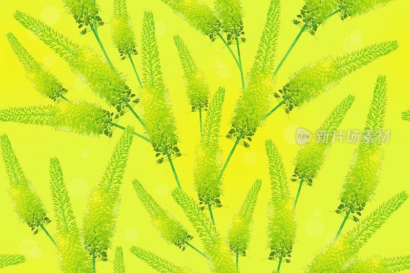 无缝花卉图案与绿色小花在黄色背景。