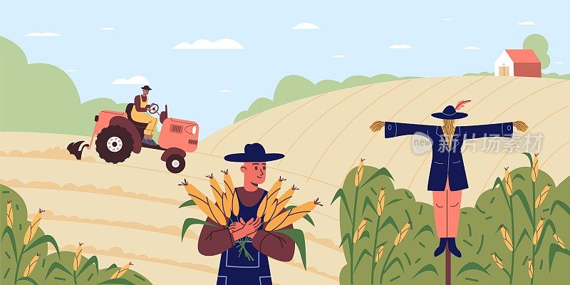 农业工人。漫画中的农民收割玉米。用拖拉机犁地的人。农村人。玉米种植。稻草人。成熟的作物。农业景观。向量的概念
