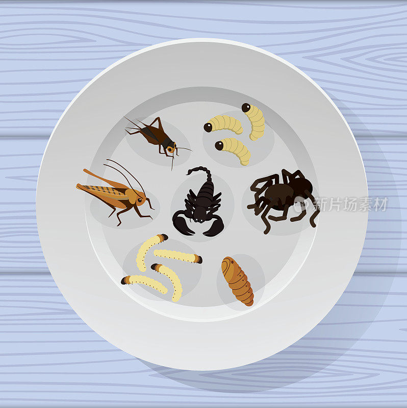 在盘子里煮过的昆虫