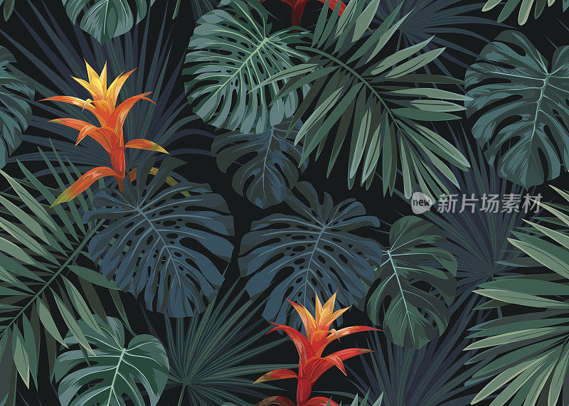 手绘矢量无缝热带花卉模式古兹马尼亚花，怪兽和皇家棕榈叶。异国情调的夏威夷织物设计