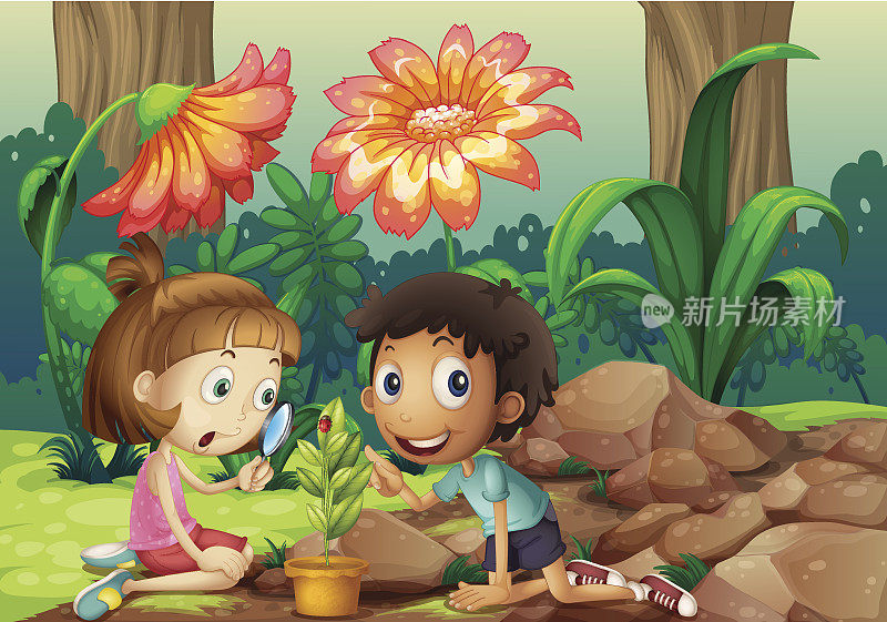 女孩和男孩用放大镜看植物