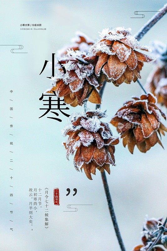 简约中国风小寒二十四节气海报