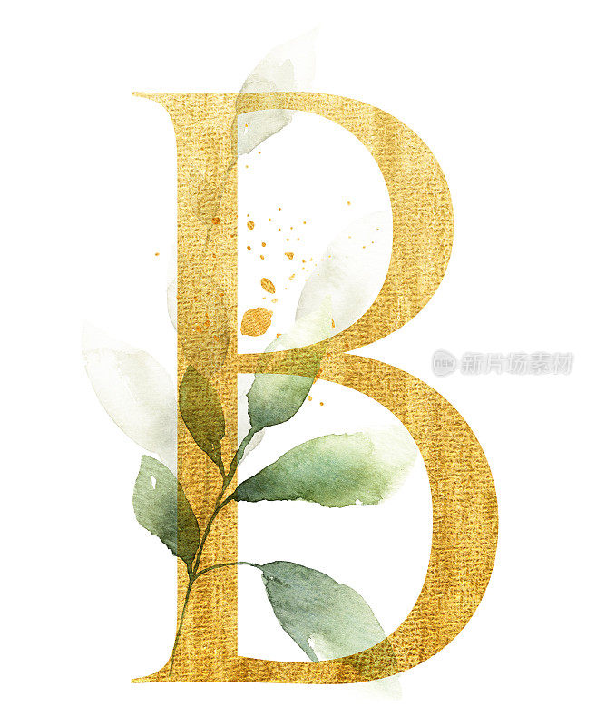 金字B用水彩树叶装饰
