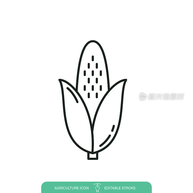 简单的玉米农业线图标在一个透明的背景