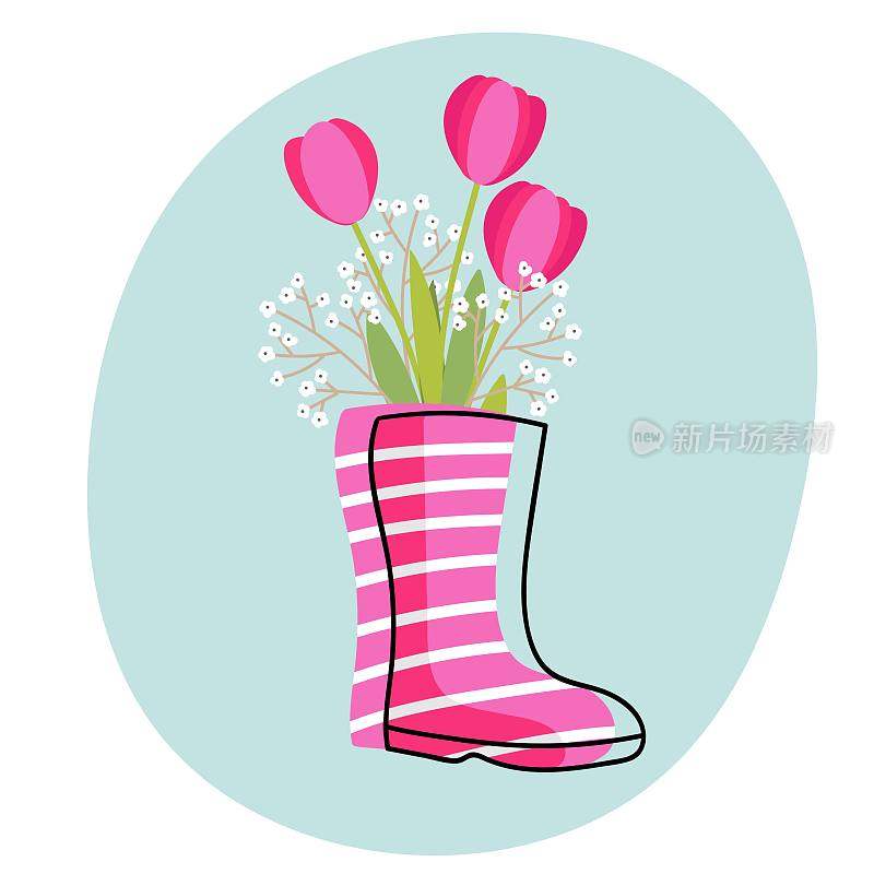 带花橡胶靴。春天的花束在粉红色条纹高橡胶靴孤立在蓝色的背景上。红色郁金香花束。美丽的春天的花朵。彩色平面卡通矢量插图