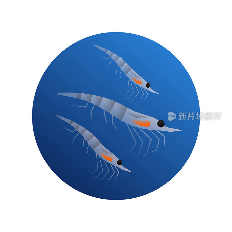 磷虾海鲜动物插图孤立