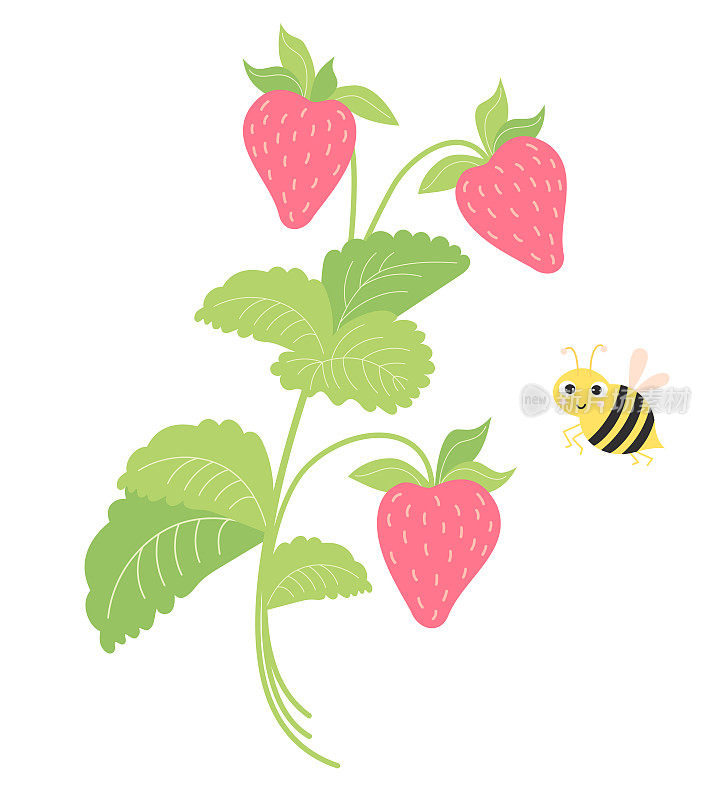 夏日浆果。草莓的树枝上有水果和可爱的蜜蜂。矢量图